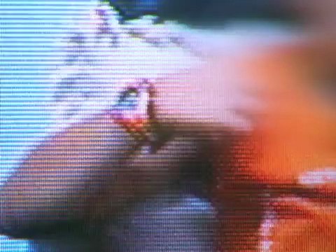 Profissão Repórter 29-05-2012 Parte 2 [FINAL] Abuso Sexual