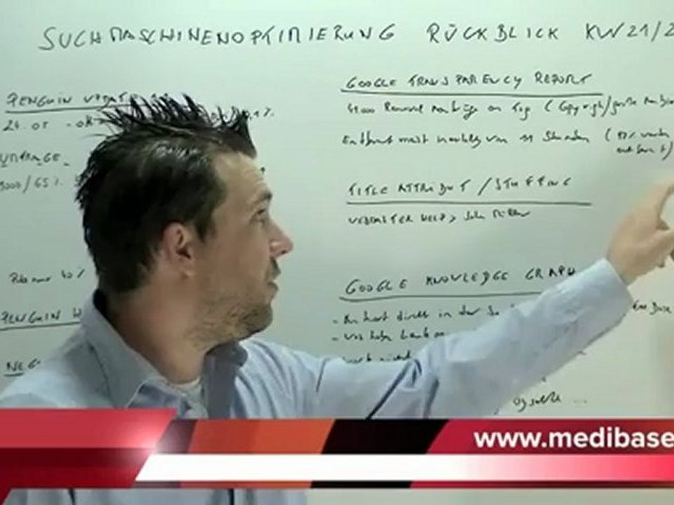 Suchmaschinenoptimierung Update KW 21 Penguin 1.1