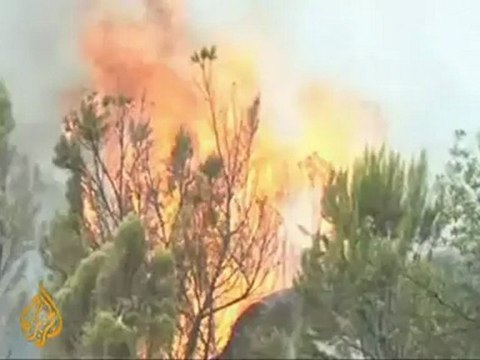 Fire devours Kenya's ancient forests