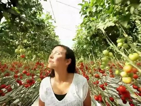 earthrise - Saltwater Greenhouse