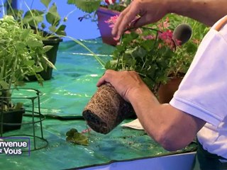 Bienvenue Chez Vous du 29 mai 2012