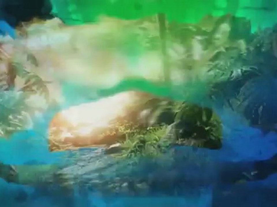 Far Cry 3 - E3 2012 Teaser Trailer