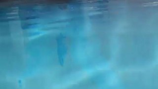 fuite piscine Montélimar
