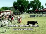 Grateloup: jeu inter villages vachettes