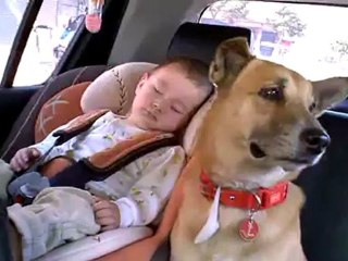 Motorcycle VS Scooter - On the Race Track