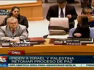 ONU pide a Israel y Palestina retomar proceso de paz