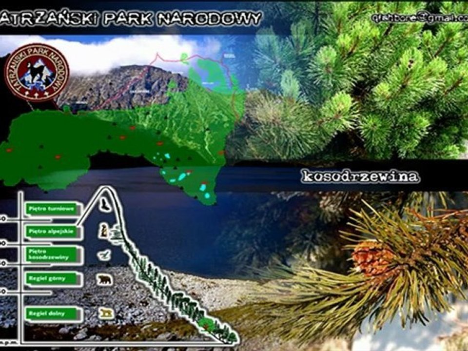 Tatrzański Park Narodowy (TPN)