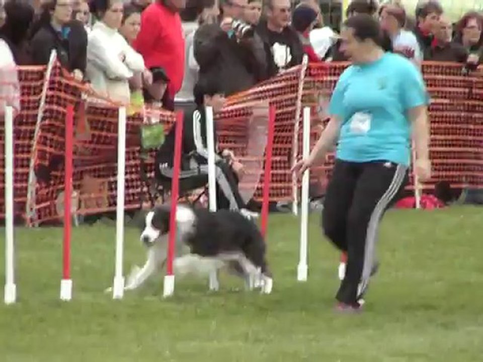 boum trophée 2012 manche 1