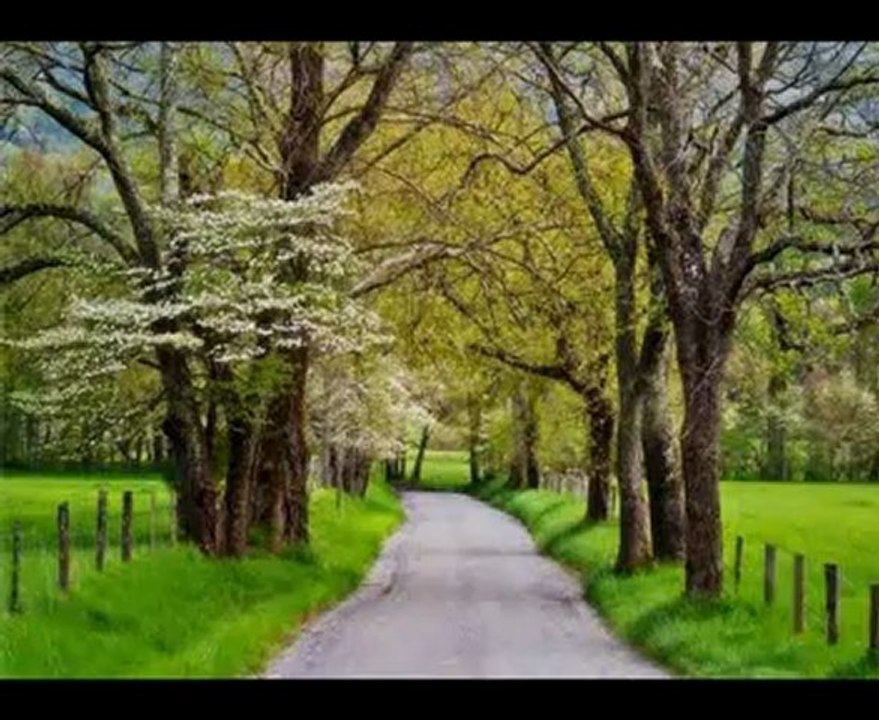 SON HIÇKIRIK ( Bu Acı Bana Yeter ) - Nilgün Ceyhan - Kaya Pınarses