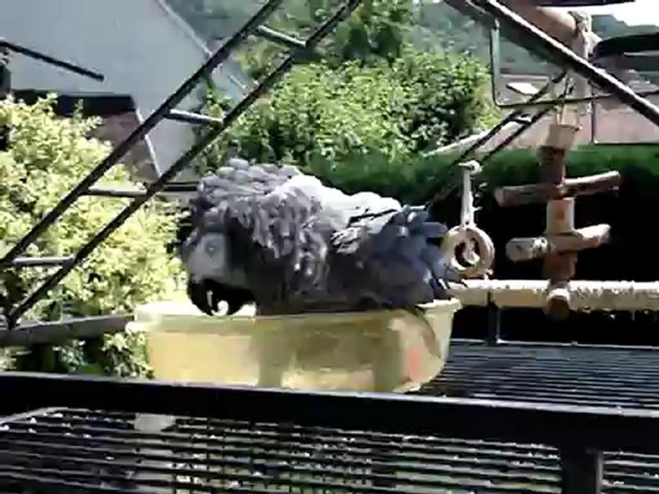 2012-05-29-Premier bain de l'année pour Charly !!!
