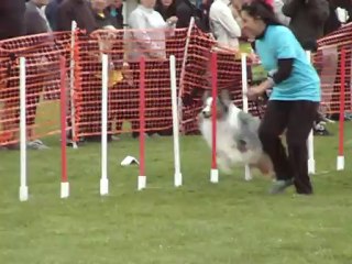 awack trophée 2012 manche 1