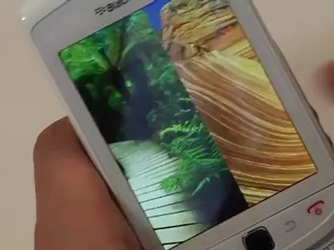 Blackberry Torch 9800: Reproductor Multimedia