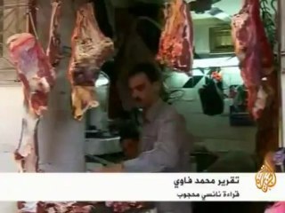 مصر..حظر صيد الأسماك