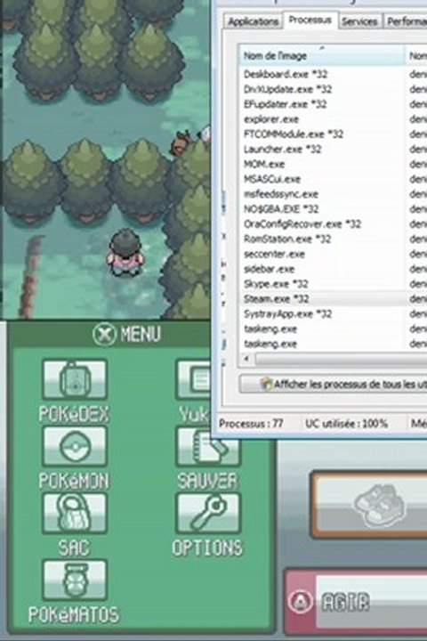 Pokemon Soul Silver [07] Bois aux Chênes