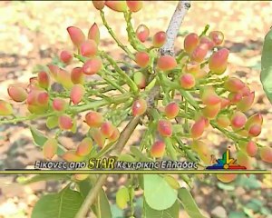 Το χαλάζι στο περιφερειακό συμβούλιο