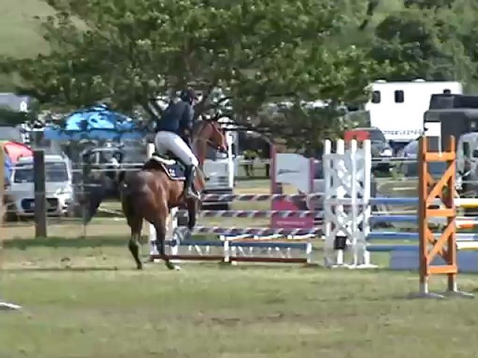 naia-pgb gd prix 115