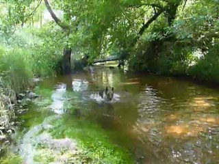 Max dans les bois et à l'eau