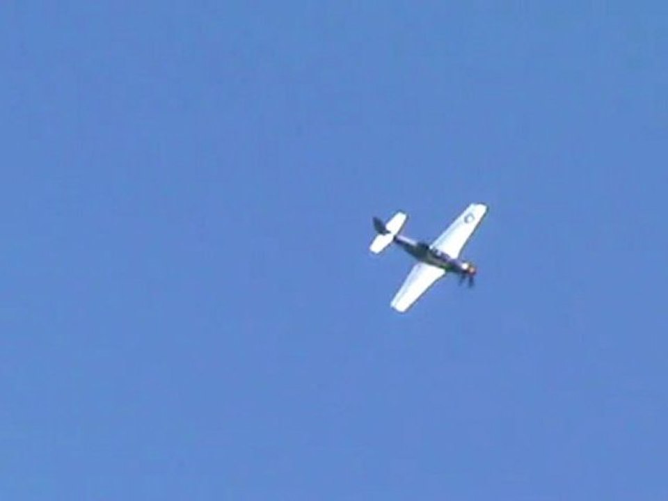 vol p51D mustang ferte alais 2012