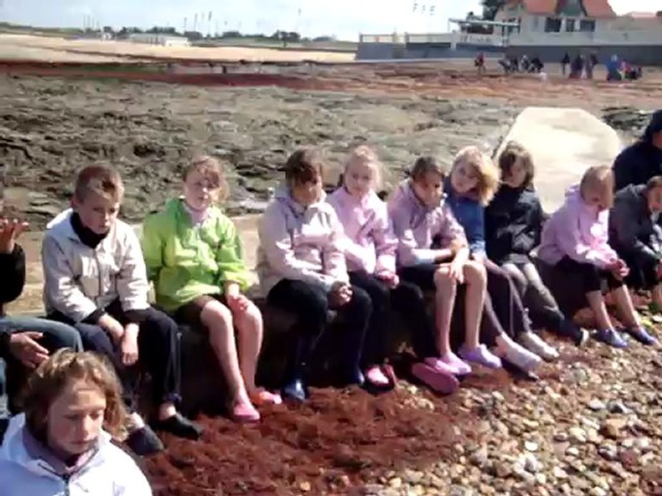 Bilan de la pêche à pied