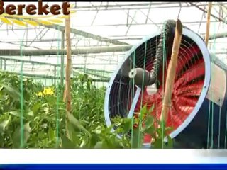 BEREKET TV REKLAM FİLMİ