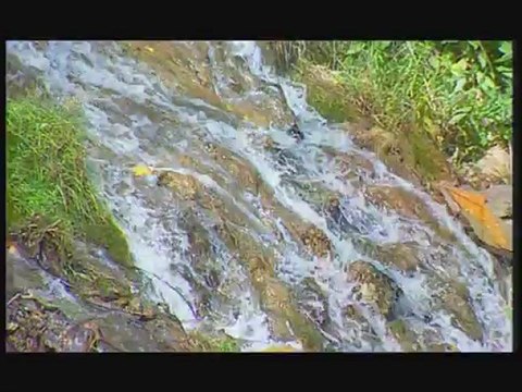 Mahmut Erdal - Birgün Anlarsın