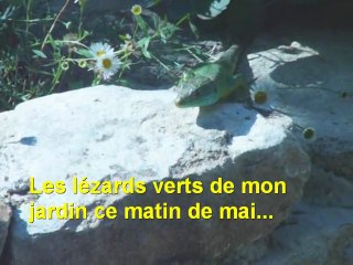 Les lézards verts de mon jardin ce matin de mai par Leïla Estellon