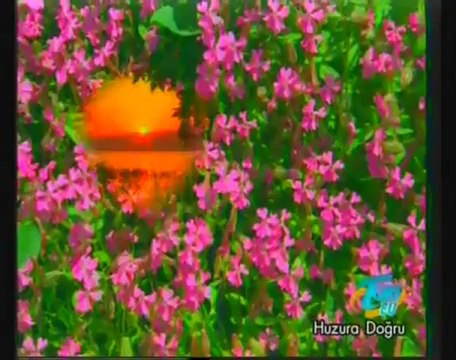 Bilmem nideyim Aşkın elinden Kande gideyim Aşkın elinden