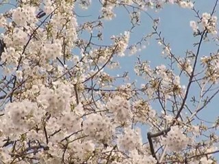 Mesdramaas - Keitai Kareshi partie 8