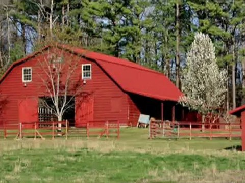 Farm Estate Home Property Available On Smith Lake - Alabama
