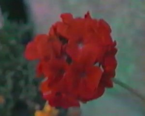 Esther GERIN et Madeleine CLEMENT