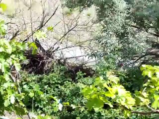 DİYARBAKIR ÇÜNGÜŞ KARAKAYAKÖYÜ