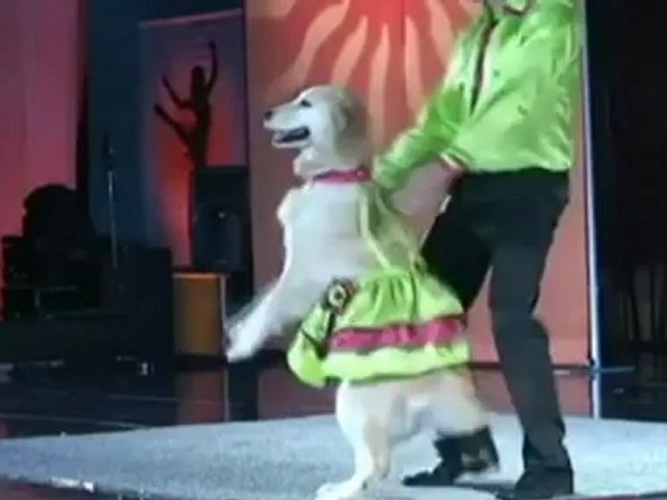 Carrie, una perrita con talento