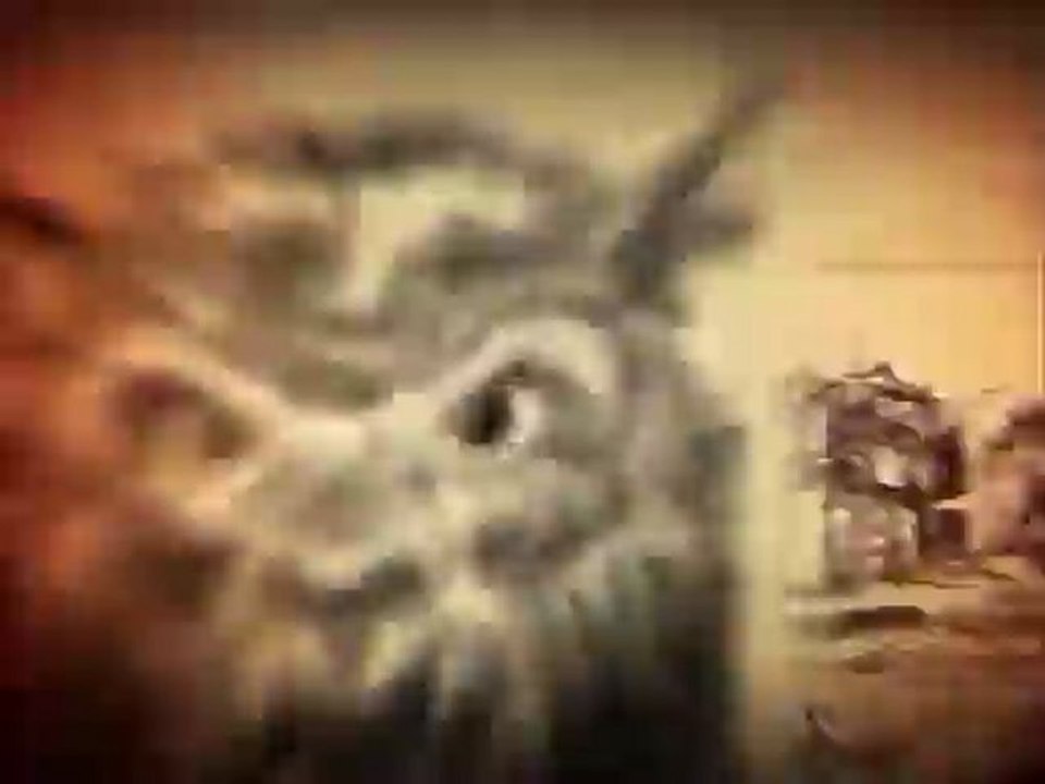 hayko cepkin den acayip hikayeler