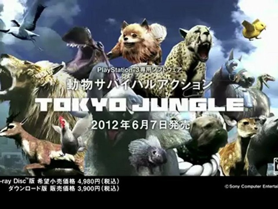 TOKYO JUNGLE - Publicité Japon