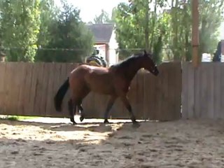 ABACO SAUT EN LIBERTE