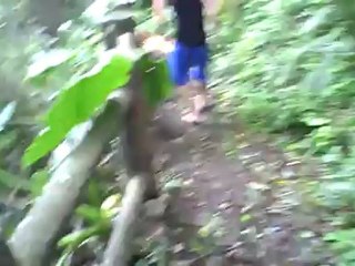 Small Towns and Big Spiders