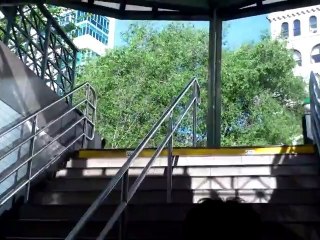 K-9 KUNO goes down the SUBWAY Stairs