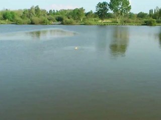 [BOVES] carpe et pain.