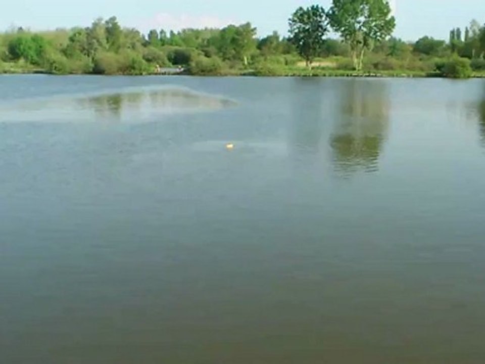 [BOVES] carpe et pain.