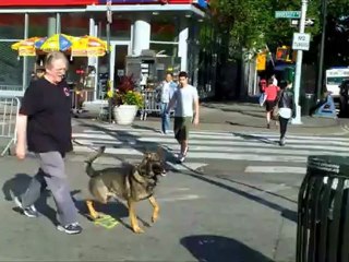 K-9 KUNO forgets his TOY
