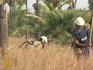 GM bacteria finds hidden mines - 4 Dec 09