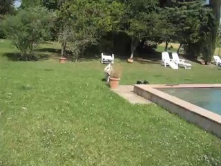 gina et  griotte  s amusent bien au bord de la piscine