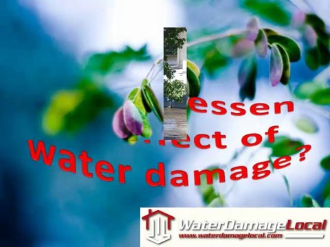 North Myrtle Beach, North Carolina Local Water Mitigation