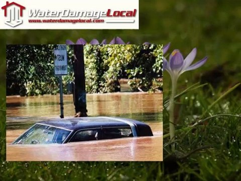 Local Water Mitigation - Atkinson, North Carolina