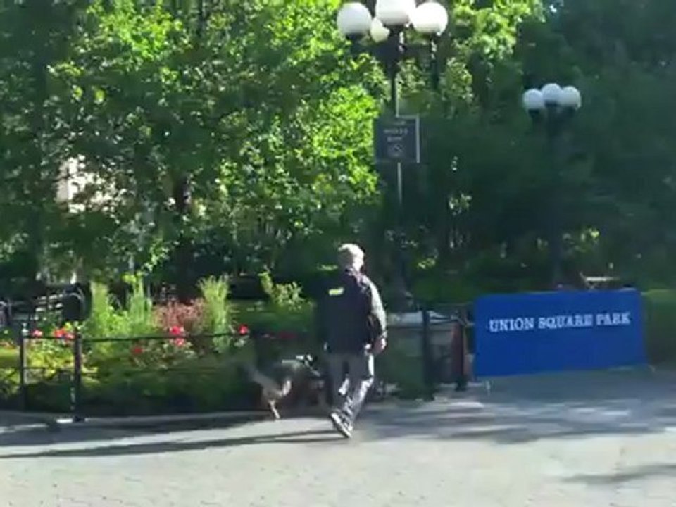 K-9 KUNO Pull Training