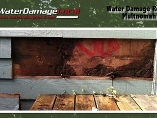 Multnomah Water Damage Repair ­— Mold Remediation