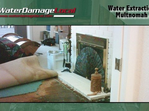 Multnomah Water Extraction ~ Basement Flooding Clean Up