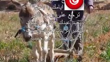 بكتب اسمك يا بلادي_ الصخيرة 2012_رضا