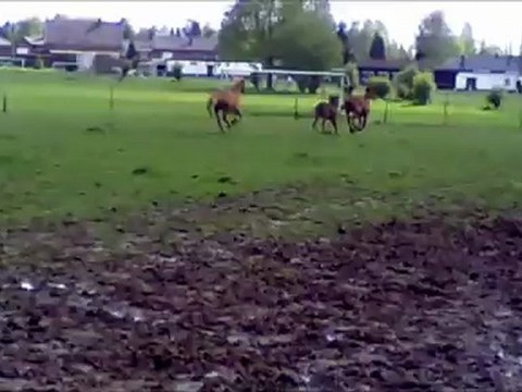 Kaïzer fais la course au pré