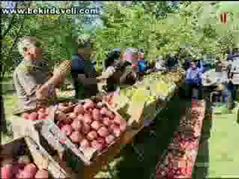 Gez Göz Arpacık - Niğde / Bahçeli Elmaları